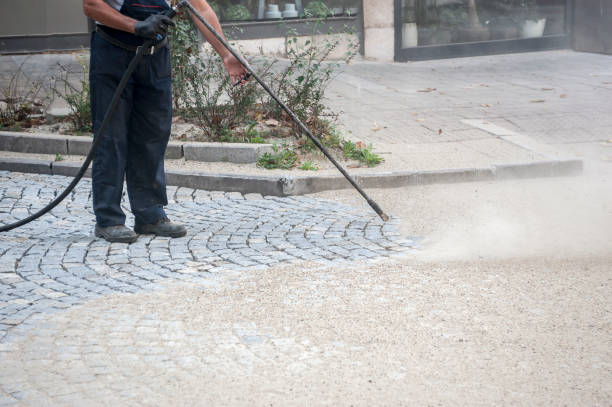 Best Parking Lot Cleaning in Wilder, KY